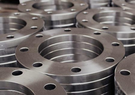 Stainless Steel Flanges