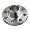SS Flange