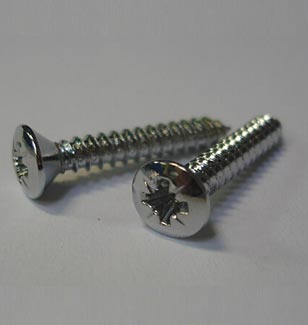 SS Screw
